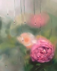 Hafsa Shaikh, 36 x 48 inch, Oil on Canvas, Floral Painting, AC-HFS-050